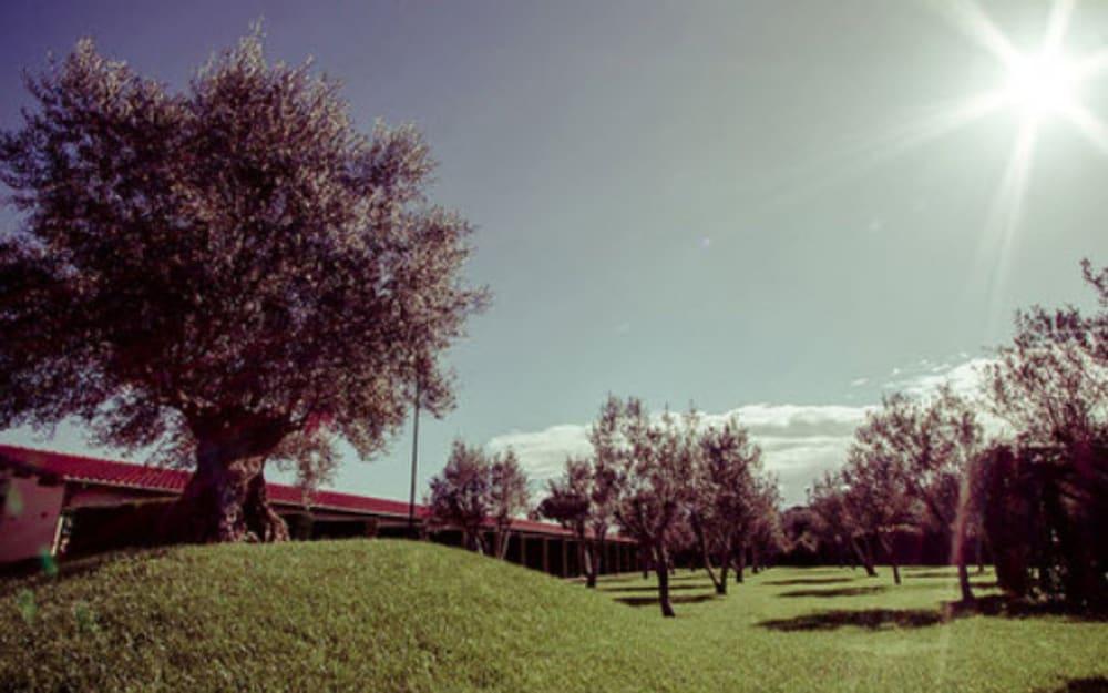 רומא All Ways Garden Hotel & Leisure מראה חיצוני תמונה